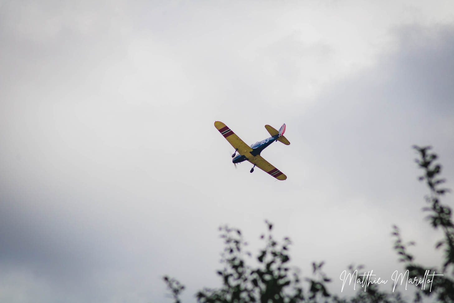 AirLegend - Avion — photo 99