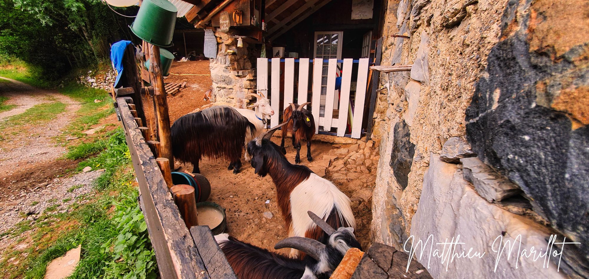 Benou - Cabane Lasbordes — photo 5