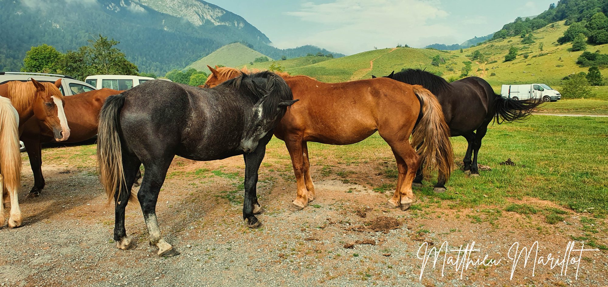 Photographie de Matthieu Marillot