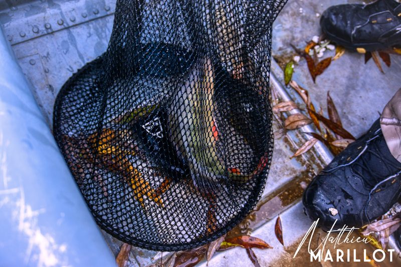 [COMPÉTITION] RC Fishing World — photo 8