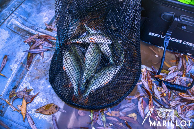 [COMPÉTITION] RC Fishing World — photo 45