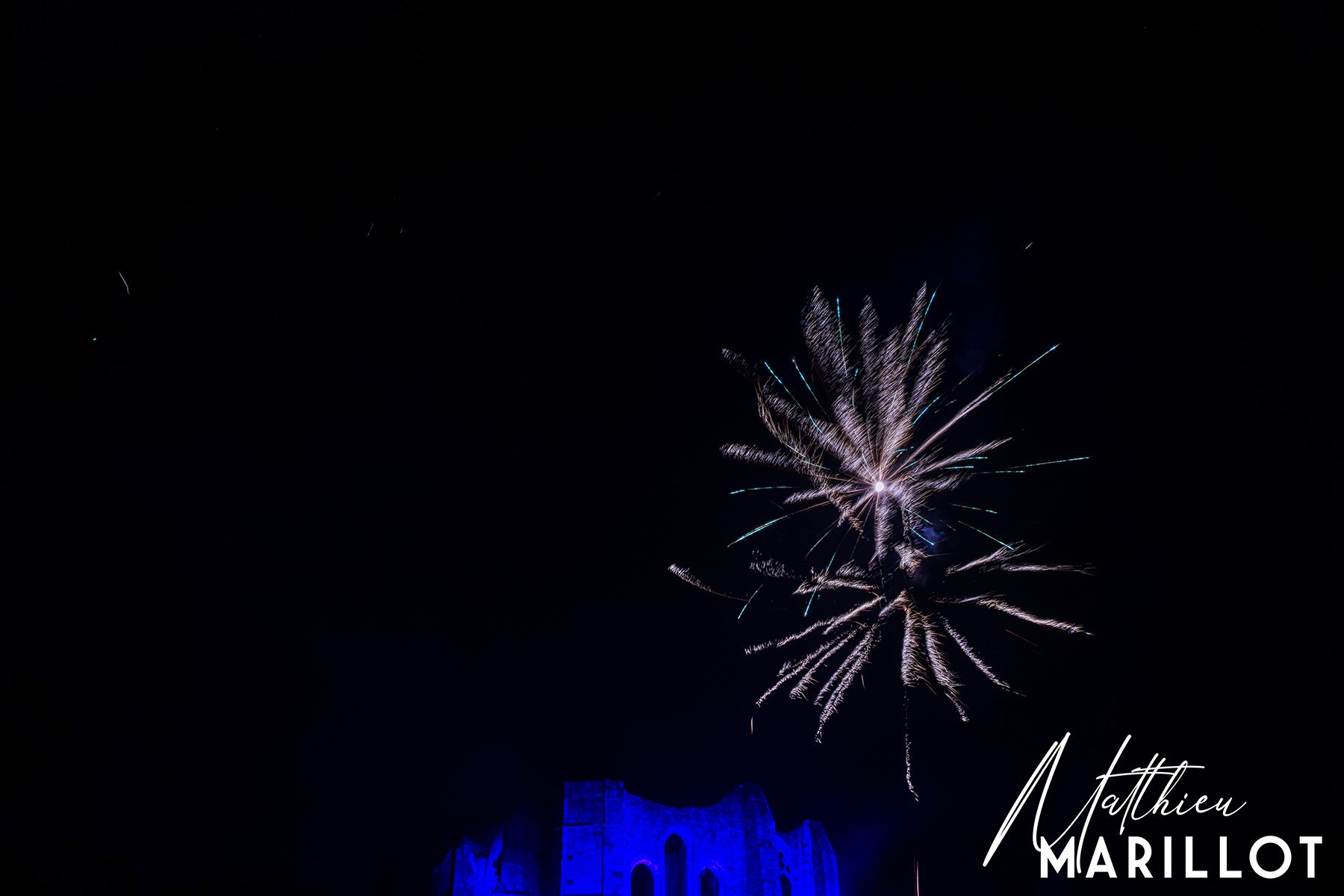 Feu d'Artifice Dammarie Les Lys — photo 66