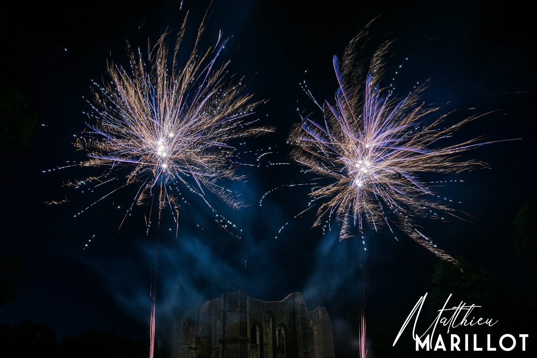 Feu d'Artifice Dammarie Les Lys — photo 81