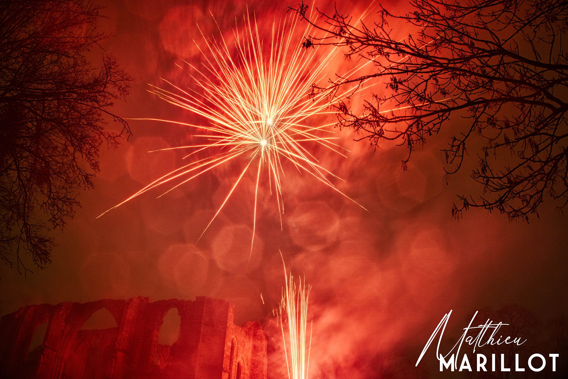 Feu d'Artifice Dammarie-Les-Lys — photo 24