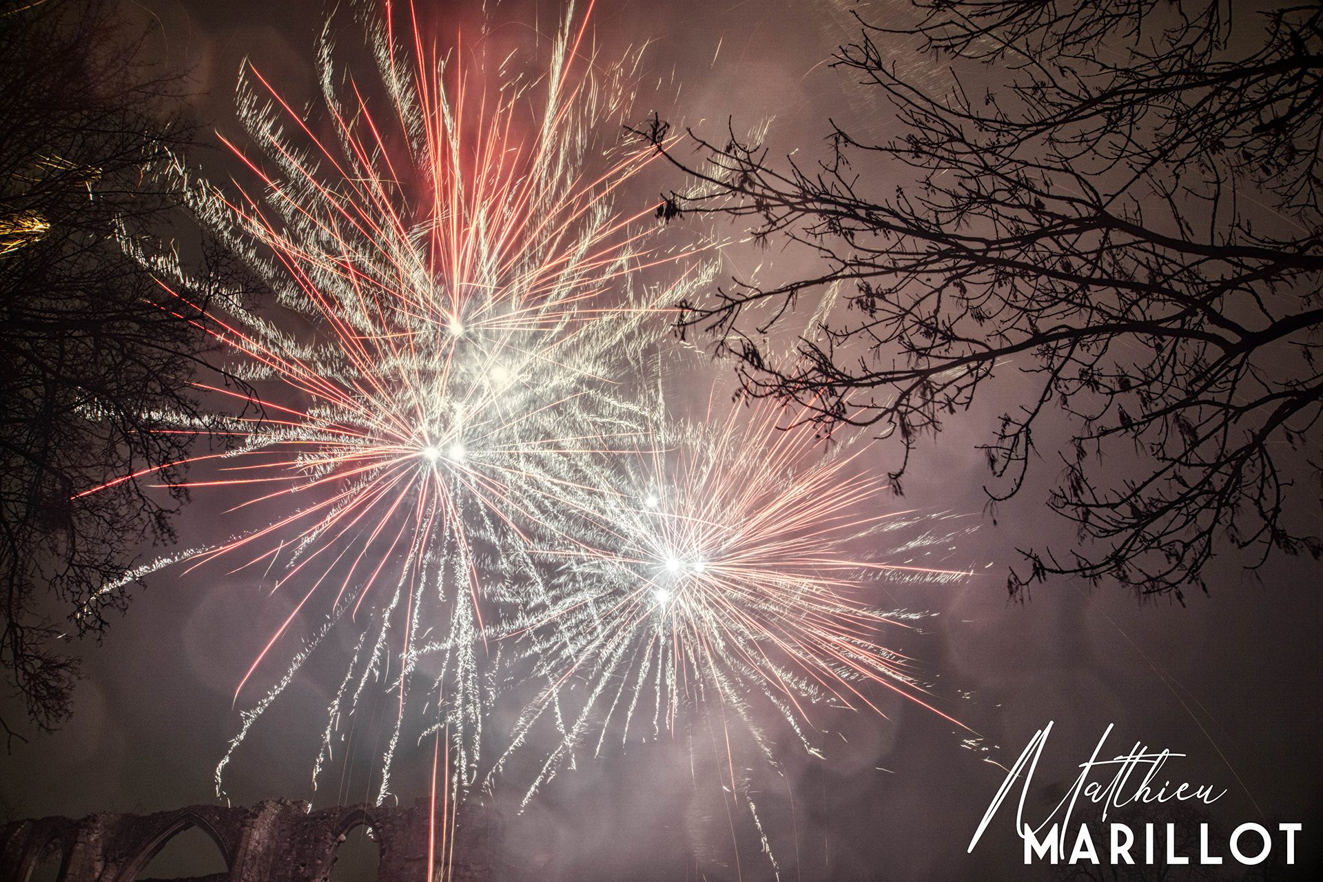 Feu d'Artifice Dammarie-Les-Lys — photo 3