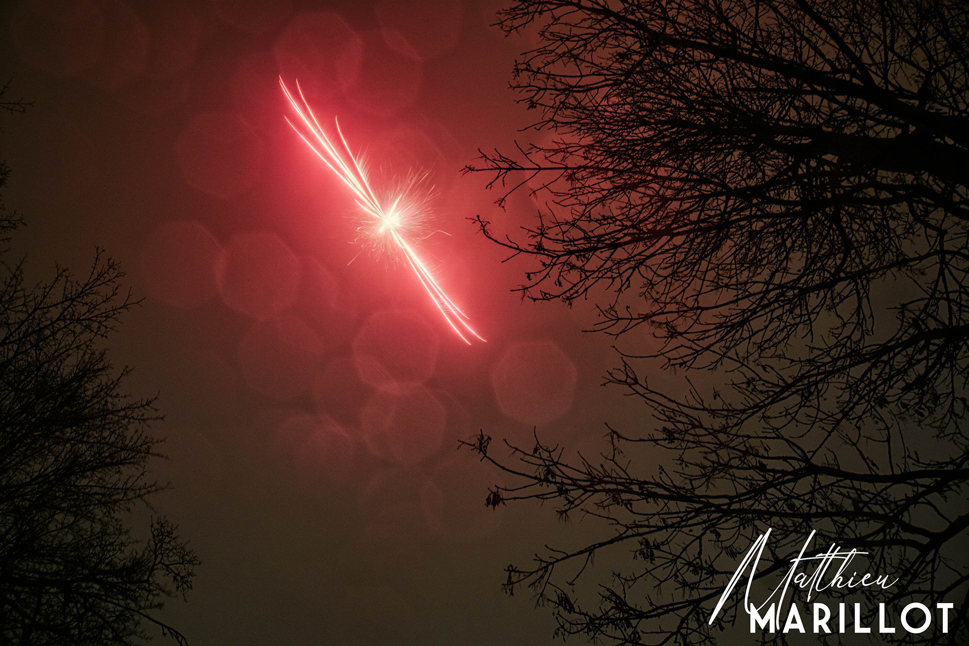Feu d'Artifice Dammarie-Les-Lys — photo 36