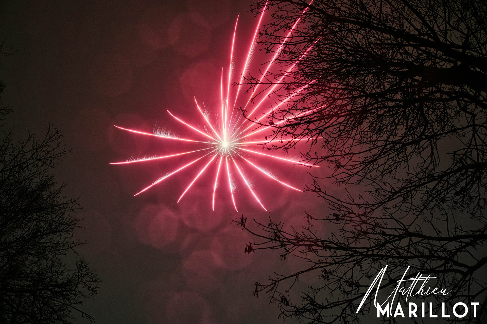 Feu d'Artifice Dammarie-Les-Lys — photo 47