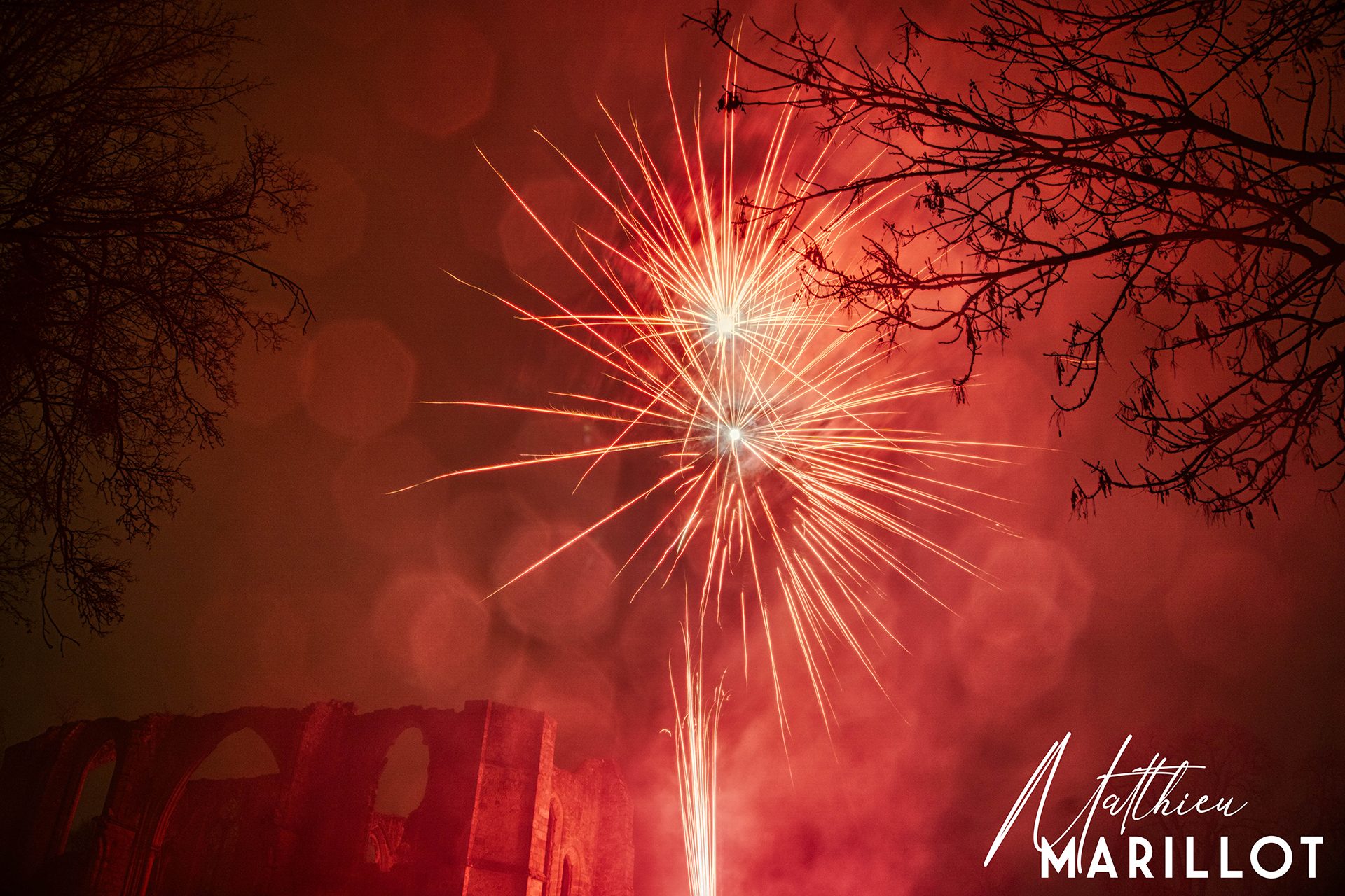 Feu d'Artifice Dammarie-Les-Lys — photo 37