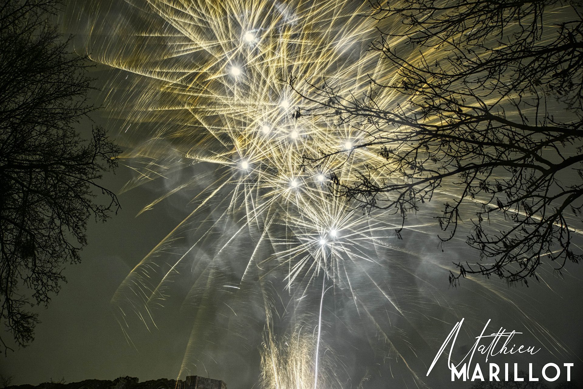 Feu d'Artifice Dammarie-Les-Lys — photo 53