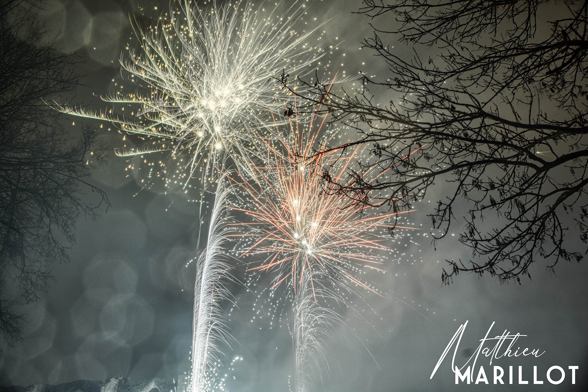 Feu d'Artifice Dammarie-Les-Lys — photo 54