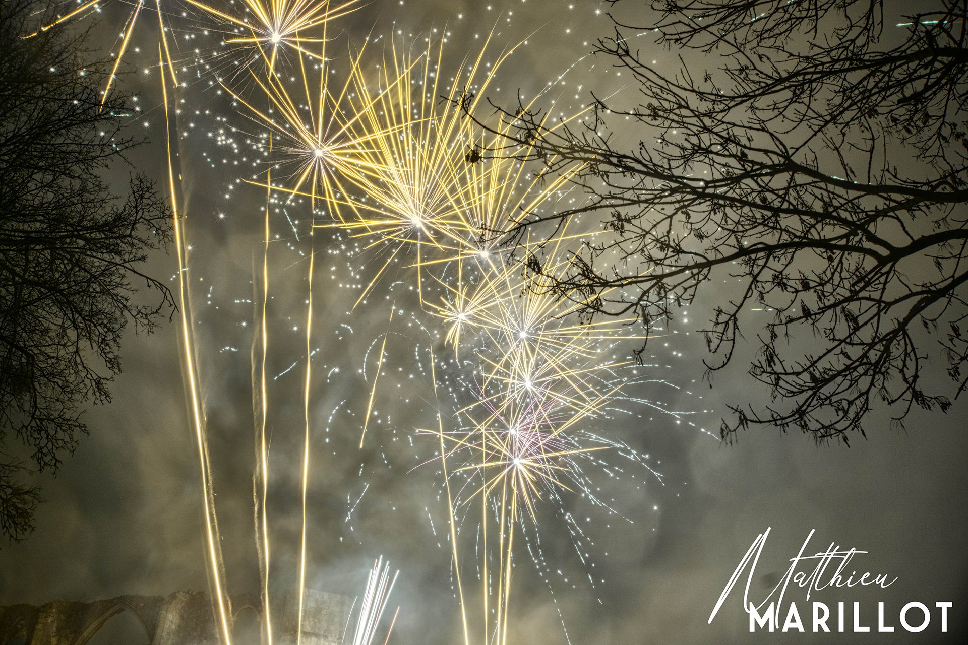 Feu d'Artifice Dammarie-Les-Lys — photo 31