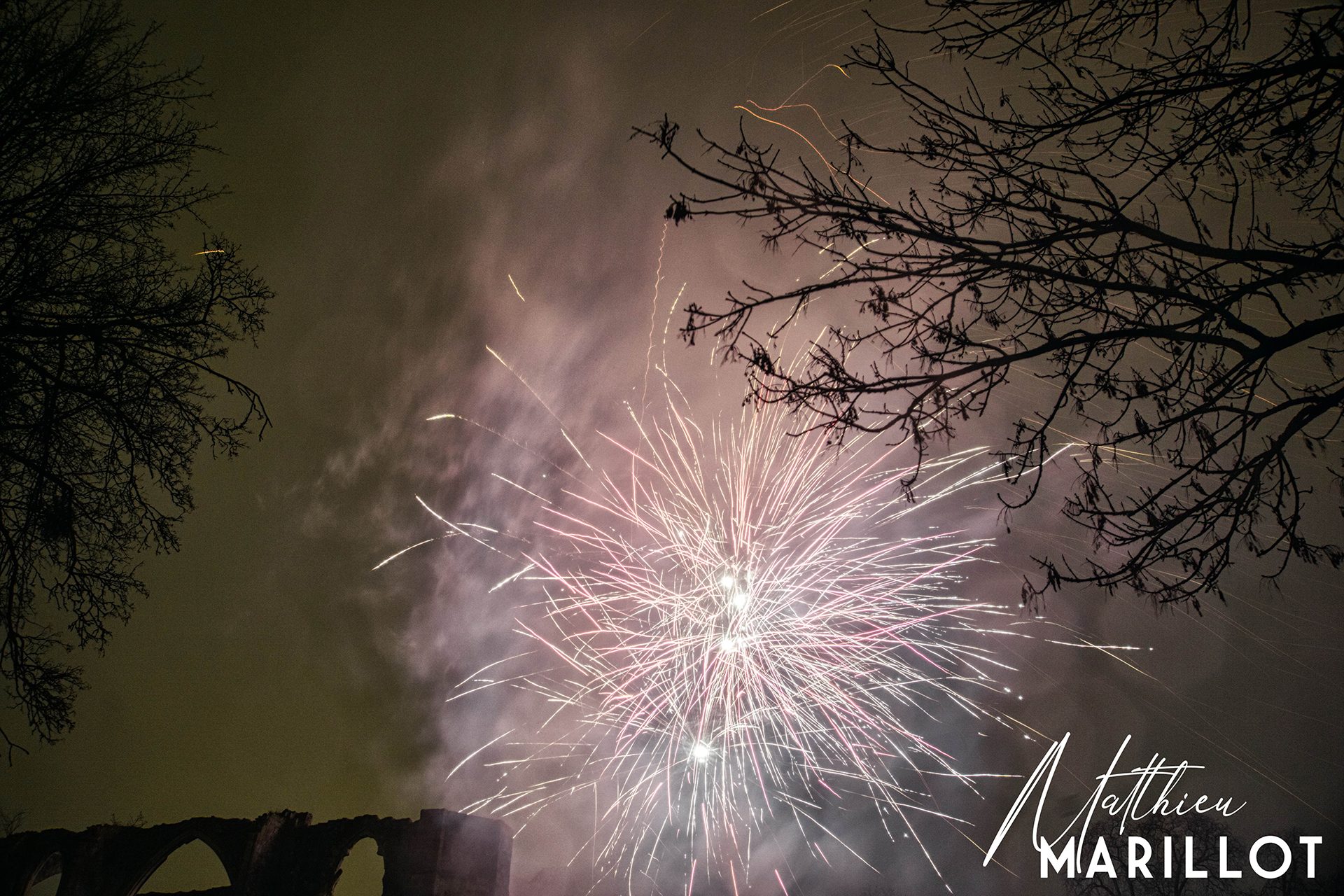 Feu d'Artifice Dammarie-Les-Lys — photo 33