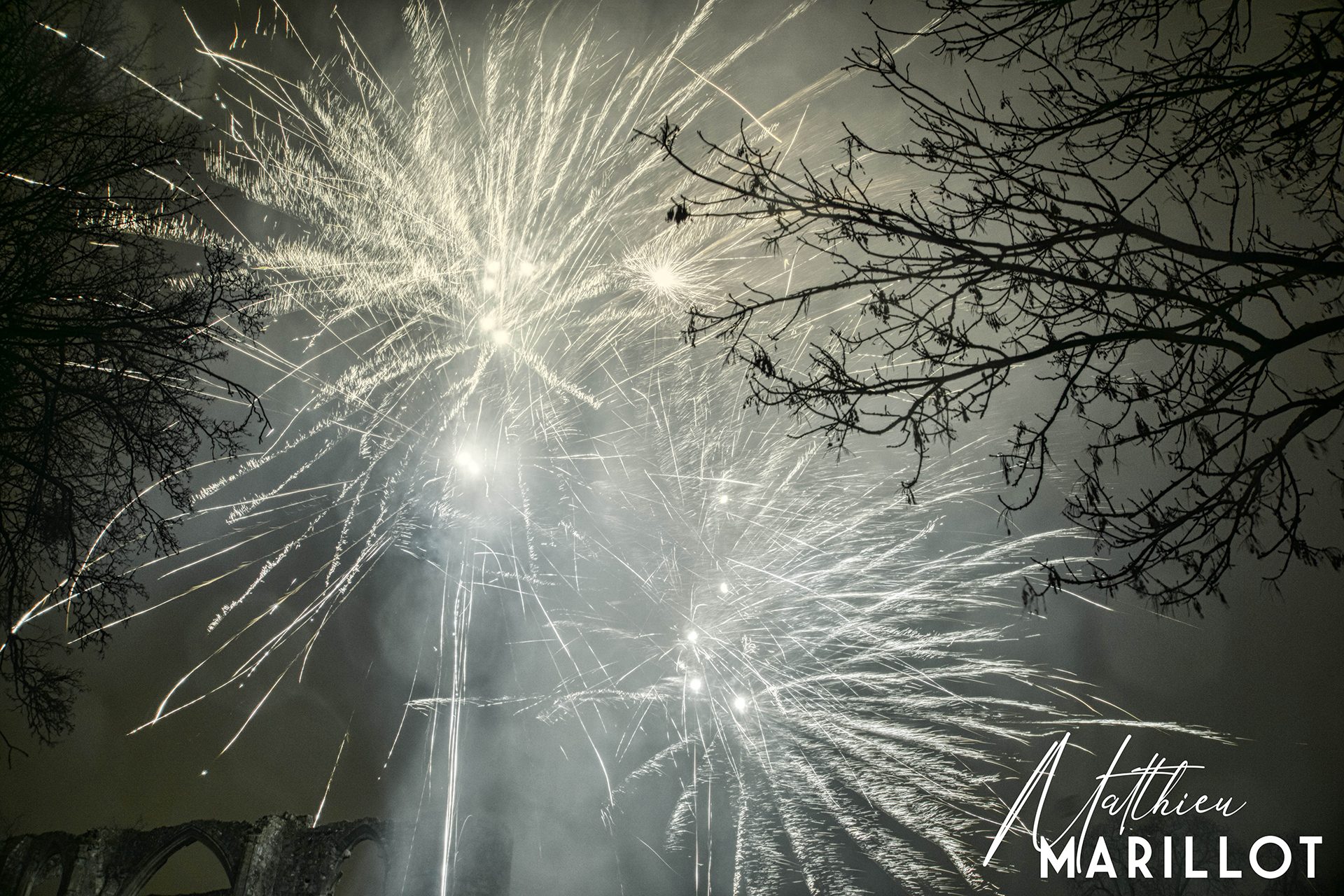 Feu d'Artifice Dammarie-Les-Lys — photo 34