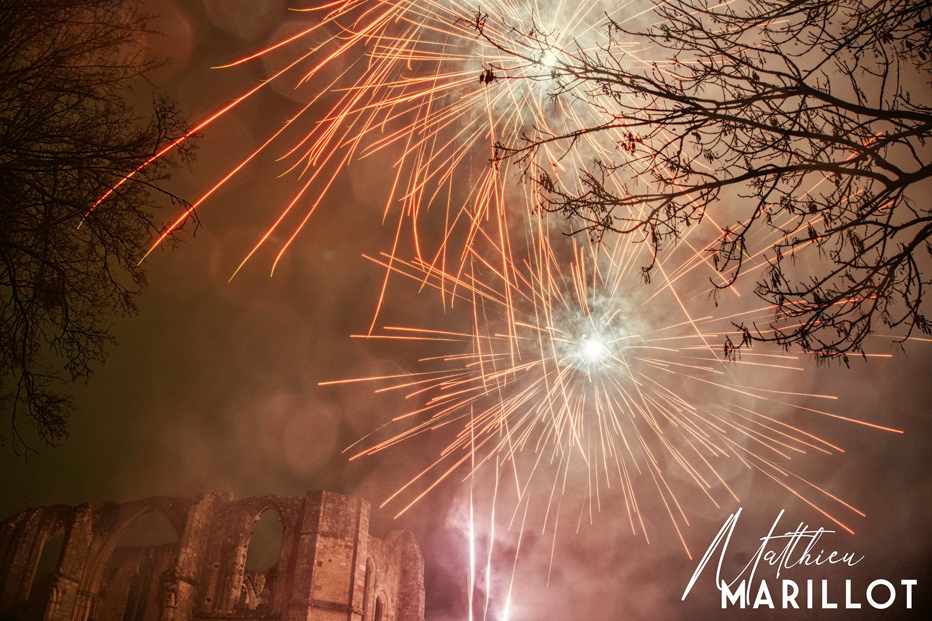 Feu d'Artifice Dammarie-Les-Lys — photo 13