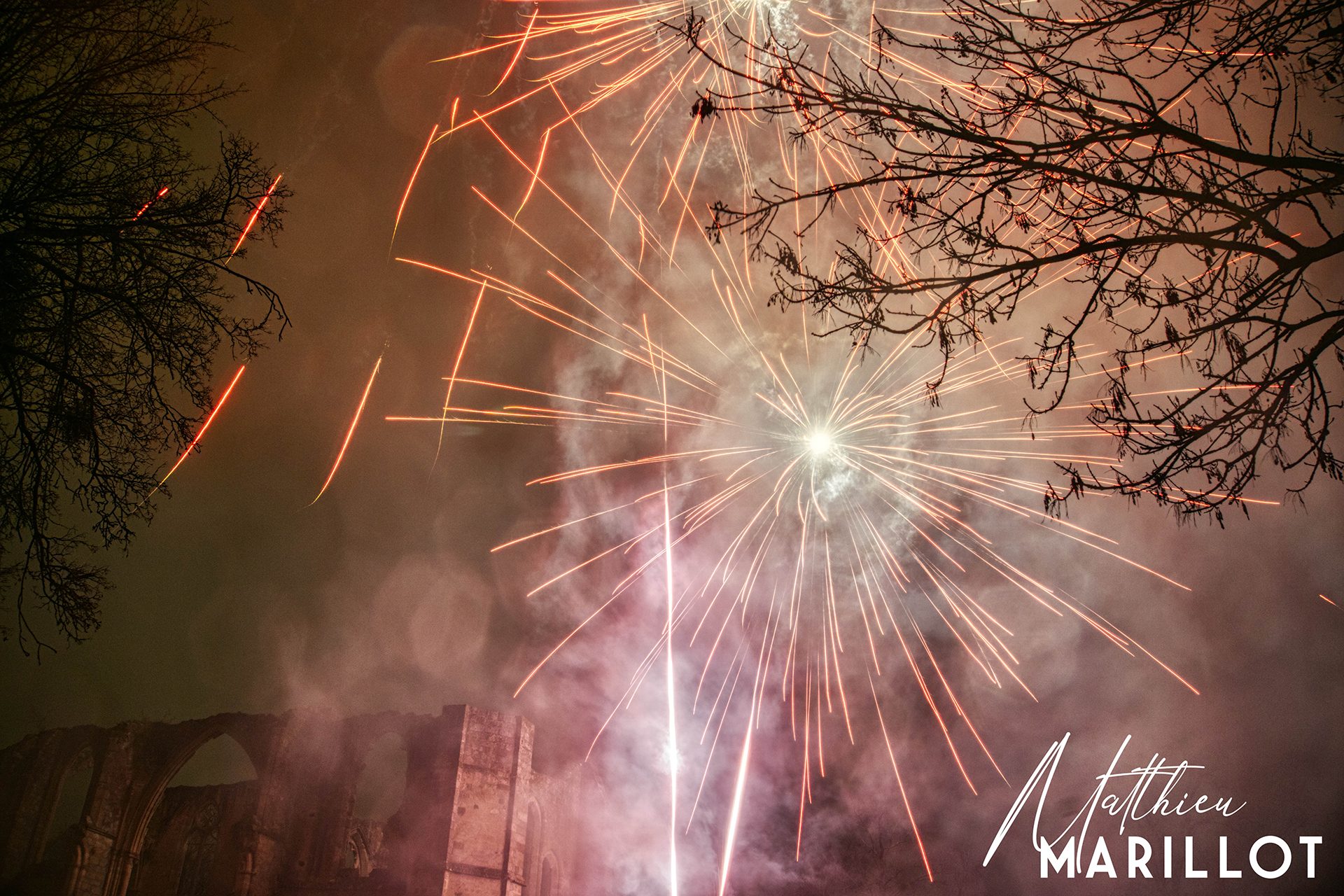 Feu d'Artifice Dammarie-Les-Lys — photo 19