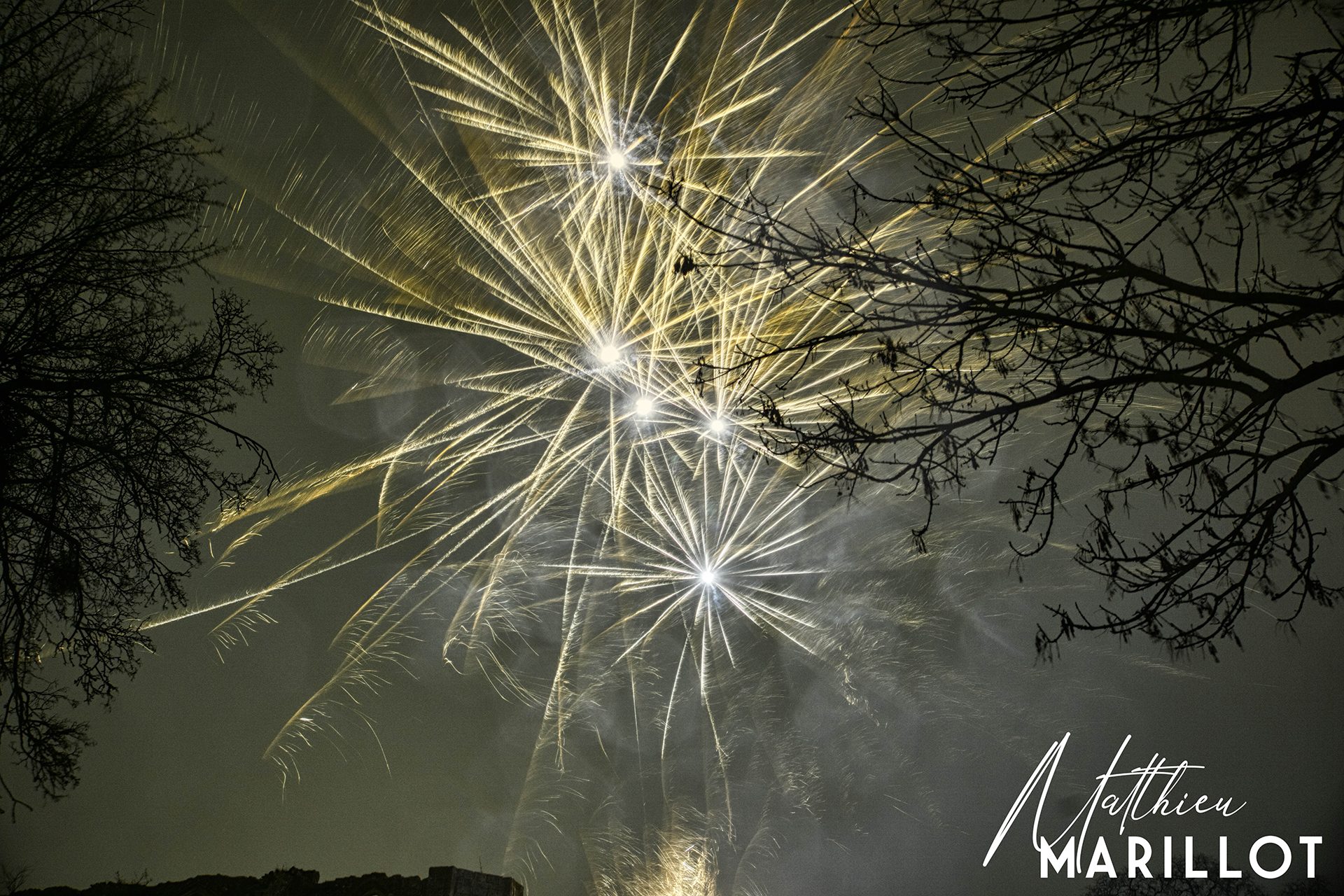 Feu d'Artifice Dammarie-Les-Lys — photo 55