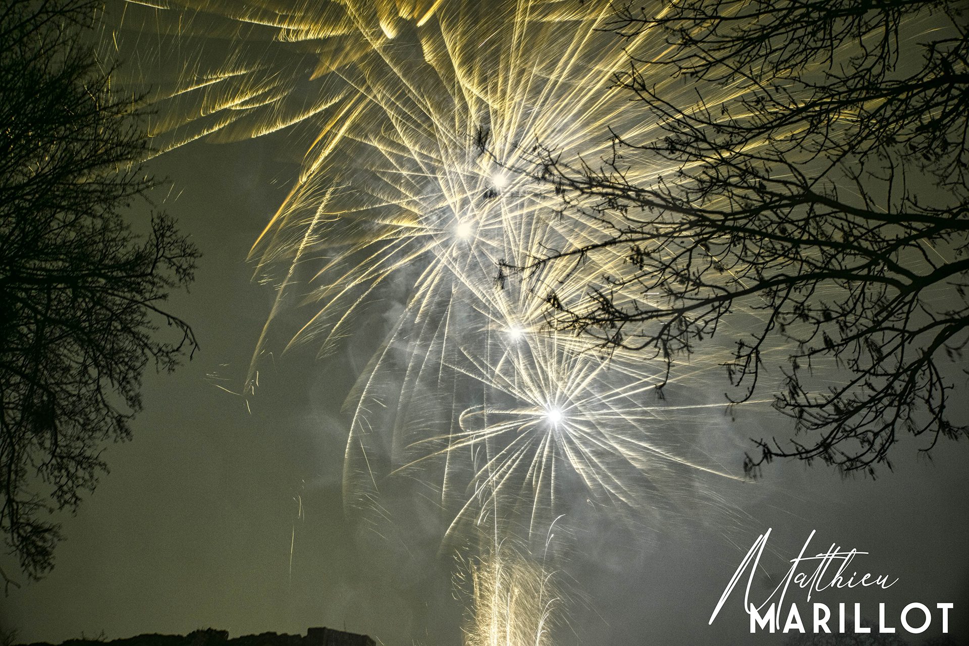 Feu d'Artifice Dammarie-Les-Lys — photo 59