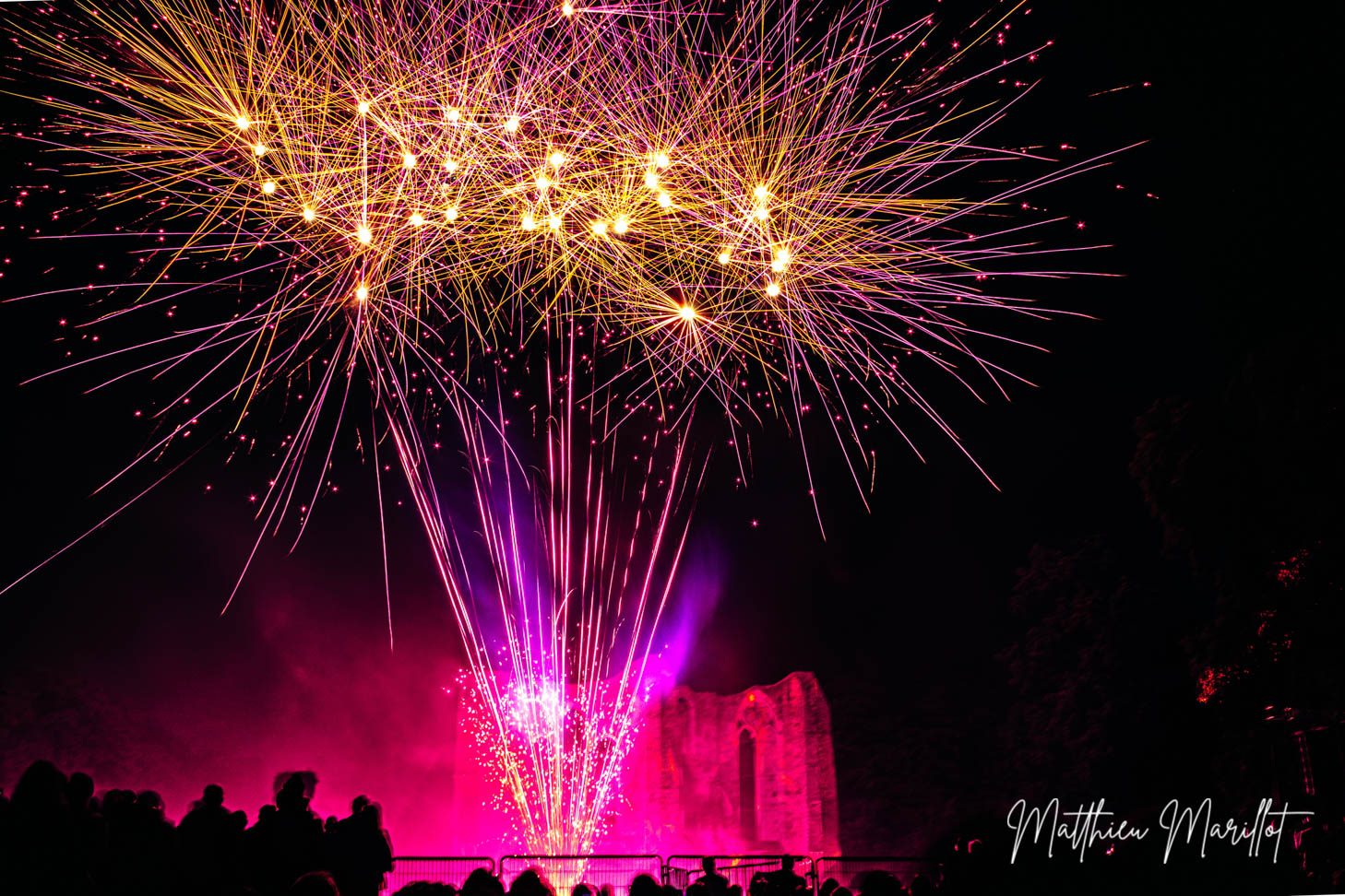 Feu d'Artifice Dammarie Les Lys — photo 45