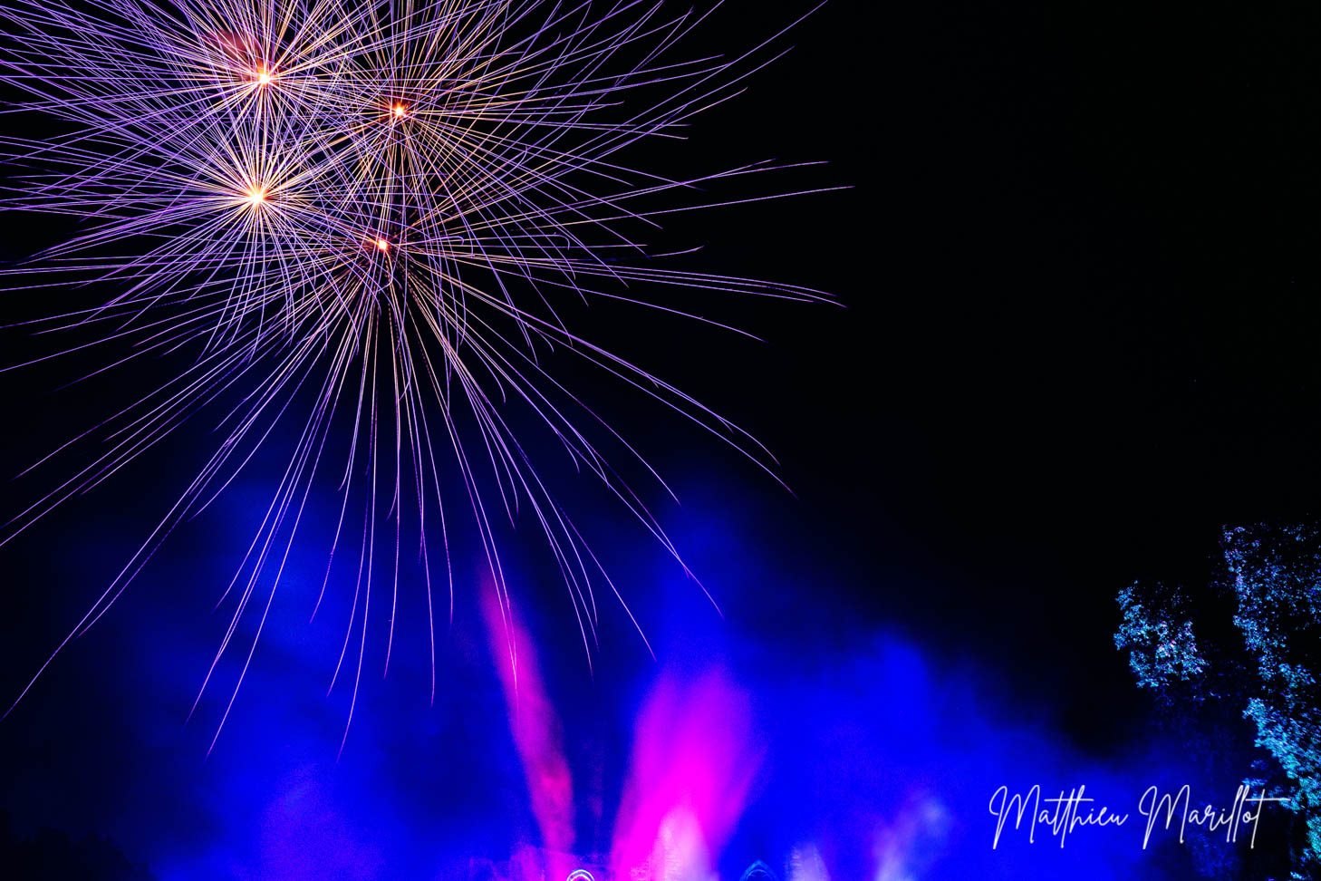 Feu d'Artifice Dammarie Les Lys — photo 44