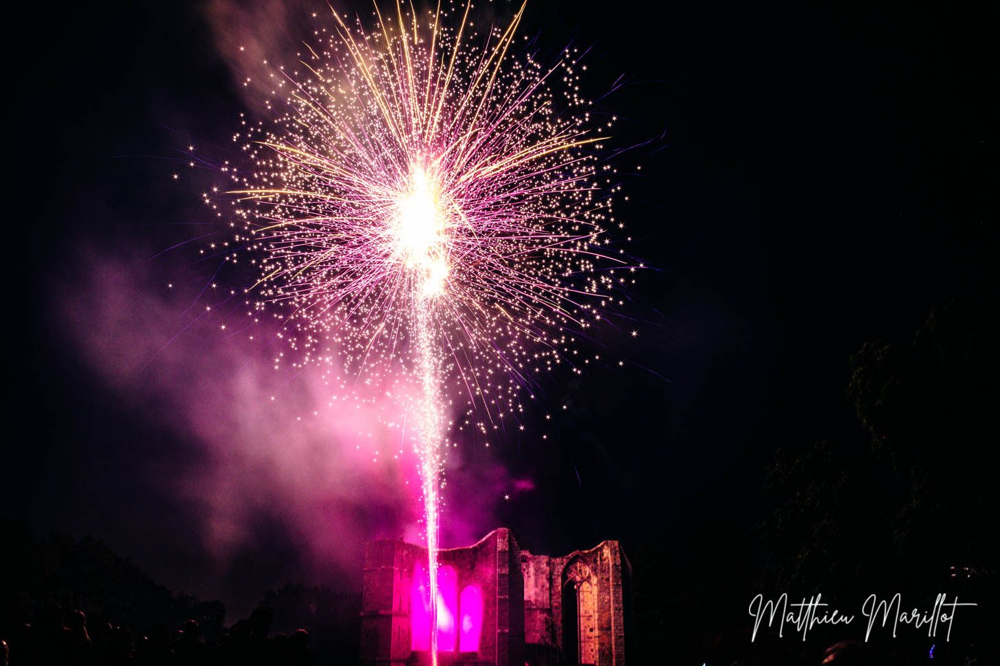 Feu d'Artifice Dammarie Les Lys — photo 50