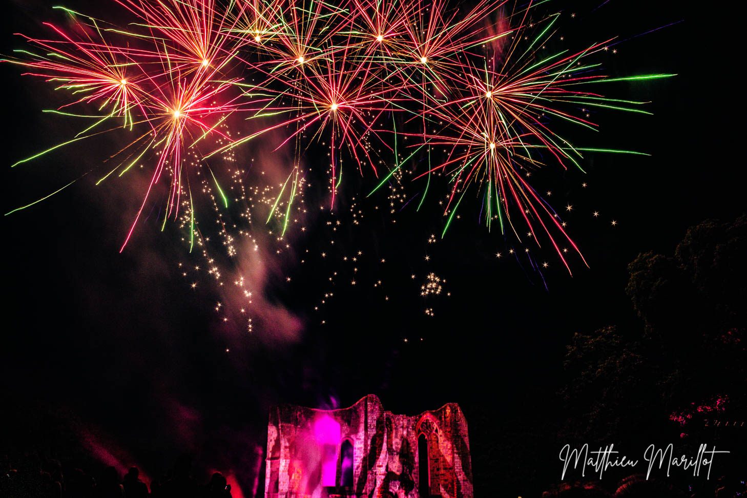Feu d'Artifice Dammarie Les Lys — photo 10