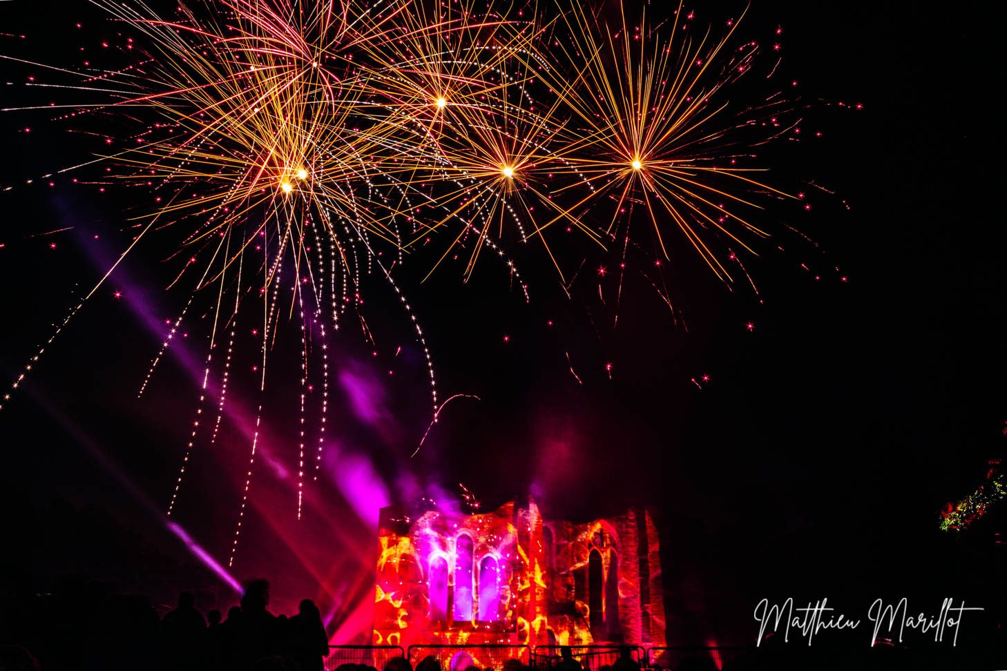 Feu d'Artifice Dammarie Les Lys — photo 25