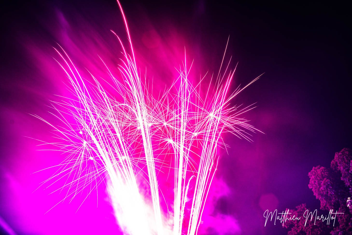 Feu d'Artifice Dammarie Les Lys — photo 2