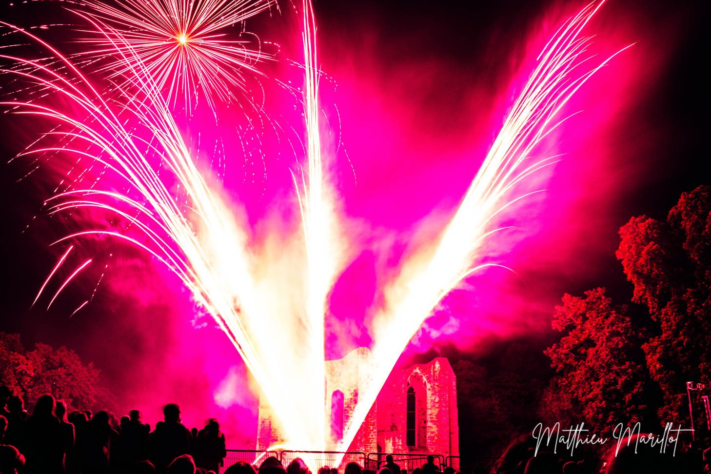 Feu d'Artifice Dammarie Les Lys — photo 28