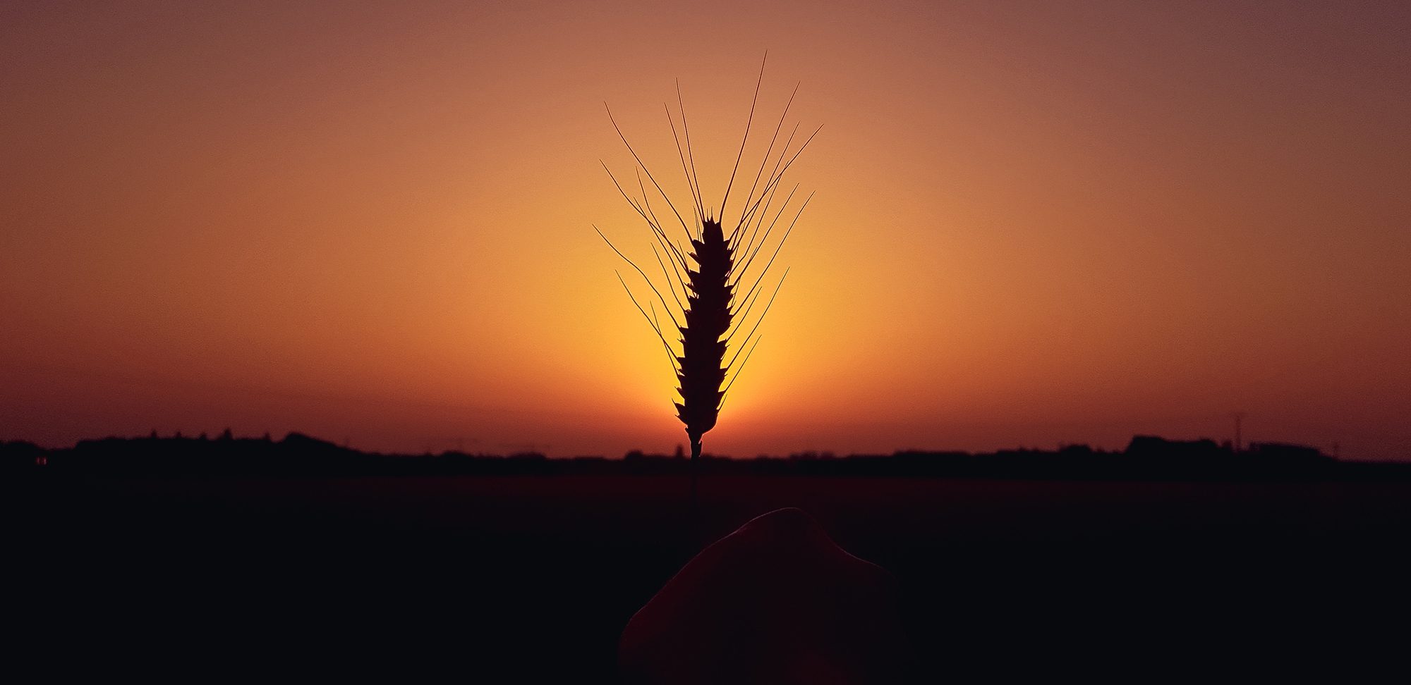 Sunset — photo 4